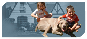 Mobile Dog Wash and Grooming